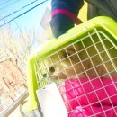 다남로 165번길 이미지