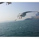 부산갈매기 - 당진시 먹거리길 72-13 | 부산갈매기