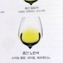 르베르제 이미지