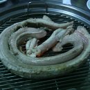 꼼장어네 이미지