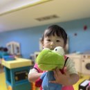 송이송이 이미지