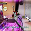 미담정육점 - 양주시 회천중앙로 240 | 미담정육점