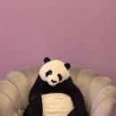 오양상사 이미지