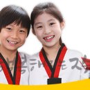한국태권도컨설팅 이미지