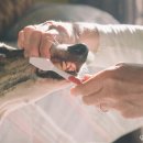 고덕 동물의료센터 이미지