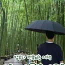 슬로밤부 이미지