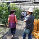 길곡초등학교 이미지