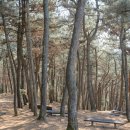 우약정 매점 이미지