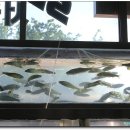 일신공원 이미지