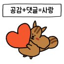 쥬드대구