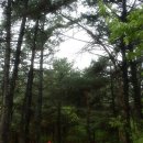 씨알농장 이미지