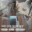 34주~37주 임산부 일상(배크기,태교,태동검사,역류성식도염,맘마존구성)