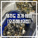 제주 조개 캐기 체험할 수 있는 장소 발견! 제주 동쪽 갯벌 체험하는 꿀팁 #오조해녀의집