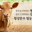 횡성한우 이미지