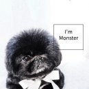 몬스터 페키니즈 네이버블로그