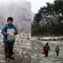 정선초교가수분교 이미지