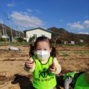 덕포어린이집 이미지