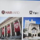 미사메디 | 하남 미사에서 직접 둘러본 미사영어학원, 정돈된 분위기와 상담 후기✨