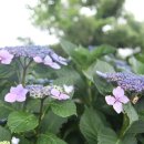오혜숙생활단식창원상남지사 | 채웠으니비워볼까 님의 세번째 단식 후기