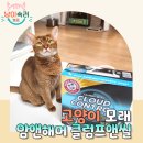 컨트롤앤 | 먼지 없는 고양이 모래! 암앤해머 클럼프앤씰 클라우드 컨트롤 사용 후기