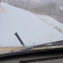 웅이네 농장 이미지