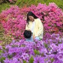 행운결혼 | [결혼 준비] 웨딩링 밴드 결혼반지 예물 만족 후기 견적 공유 ‘베루체 청담’