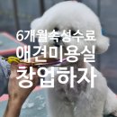 나래애견미용 | 6개월 만에 수료하고 창업 가능한 수원 애견미용학원 상담 후기