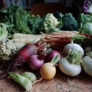 준혁농장 이미지