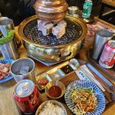 화랑돼지 이미지