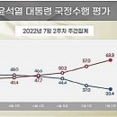 윤대통령부정평가 현상에대한 문제점및 대책(안) 이미지