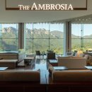 더엠브로시아 이미지