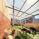 멍블랑 유치원 이미지