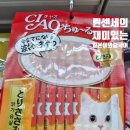 참견펫푸드 네이버블로그