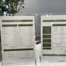 눈숲