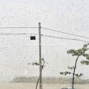 라베이커리카페 네이버블로그
