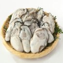 바다향그대로 이미지