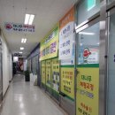 대나무체형교정 이미지
