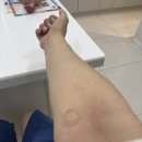 봄꽃산부인과의원 이미지