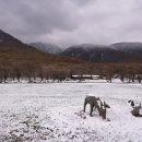 떡버들공원 이미지