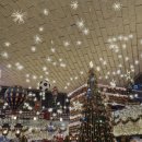 강남도서관 | [서울 강남] 스타필드 별마당도서관 크리스마스 트리 방문후기, 서울 크리스마스 가볼만한 곳