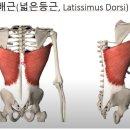 헬스플러스구래 - 김포시 김포한강9로 73 | 헬스플러스구래