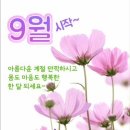 행복한 9월 이미지