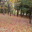 산성대로341번길 이미지