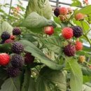 근산농장 이미지