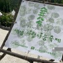 새샘기획