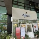 엘리스&플라워 | [대구/수성구] 대구 범어동 감성 꽃집, 앨리스플라워 후기