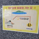 아라마루 카페 | [경남] 여행 사천 아라마루 동물원 관람차 카페 내돈내산 후기