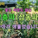 주아가 이미지