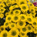 부영지구부동산공인중개사사무소 이미지