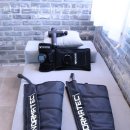 필리스 핏 이미지